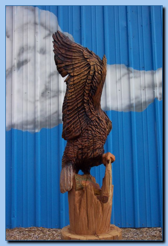 2-05 eagle with wings up, attached-archive-0007